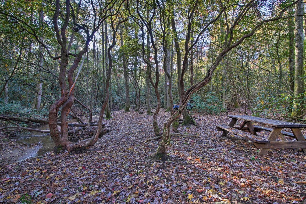 Sautee Nacoochee5-Acre North Georgia Mountain Retreat With Creek!别墅 外观 照片
